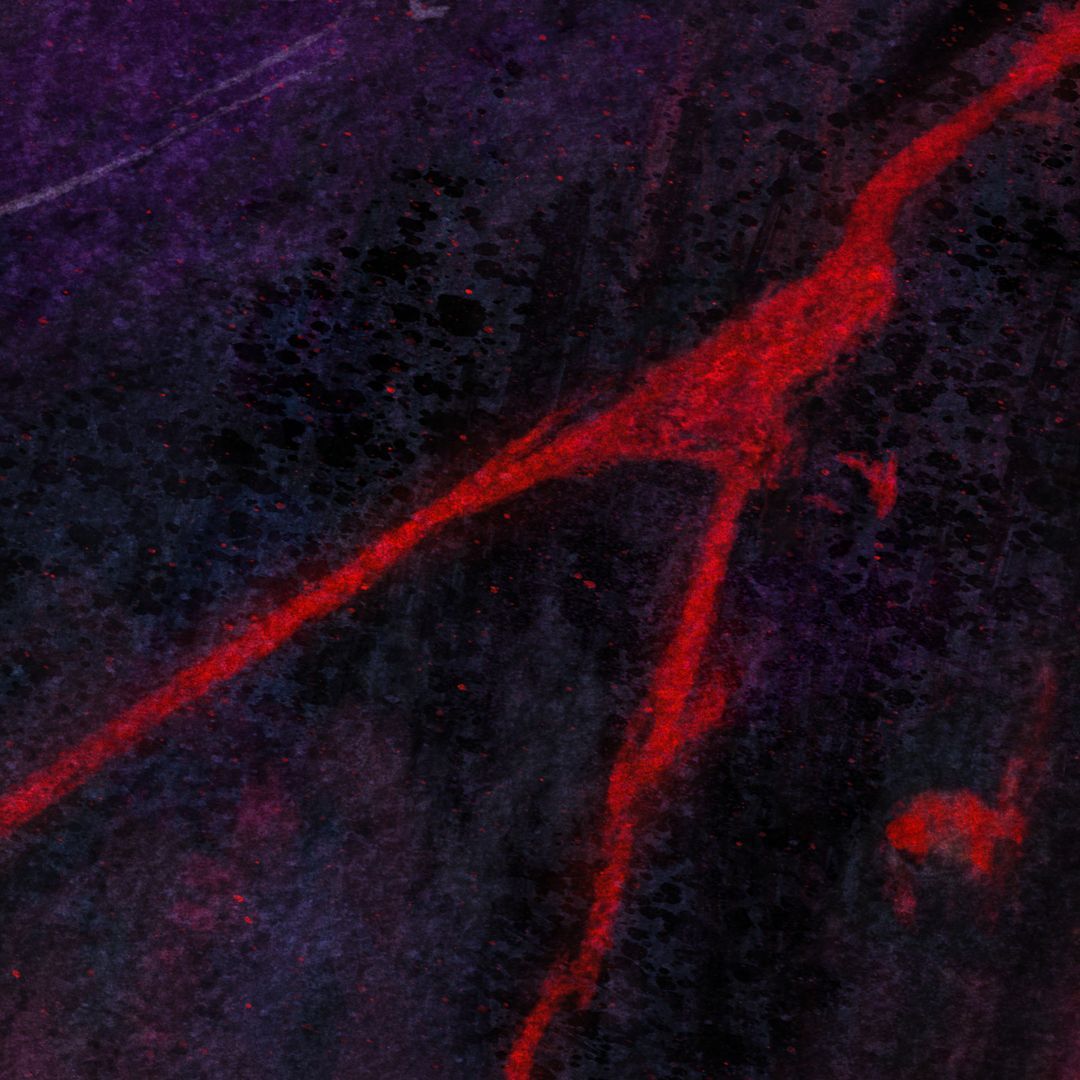 Spirit Jumper single artwork for spktra's Noir Labs catalog debut.